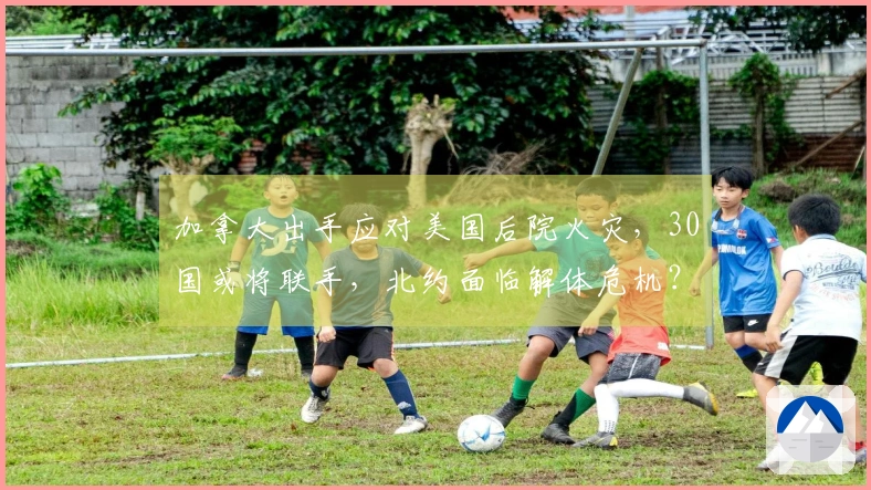加拿大出手应对美国后院火灾，30国或将联手，北约面临解体危机？